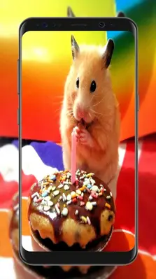 Cute Hamster Wallpapers android App screenshot 0