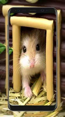 Cute Hamster Wallpapers android App screenshot 2